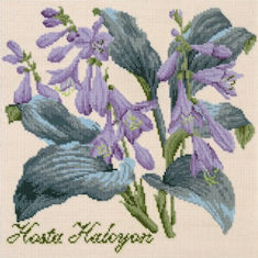 Elizabeth Bradley Tapestry Kit - Hosta Halcyon